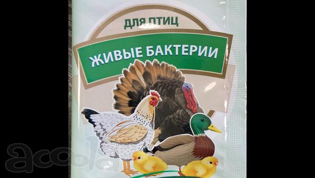 Живые бактерии для птицы